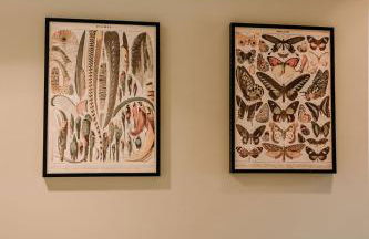 Oak Meadows House - A unique home near Yosemite - Foto 4