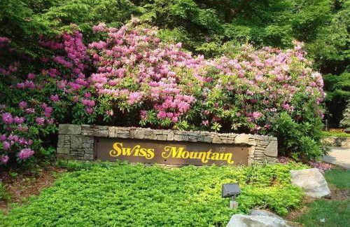 Luxury Seven Springs Condo- 3 Bed & Loft, 3 Bath - Foto 24