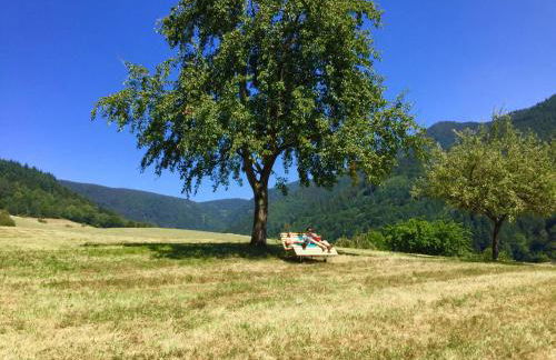 Felsenhof Simonswald - Foto 15