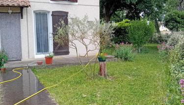 GITE EN PROVENCE - Foto 5, Garden view