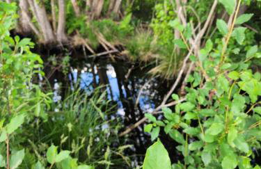 Ranczo na Kaszubach - Foto 43