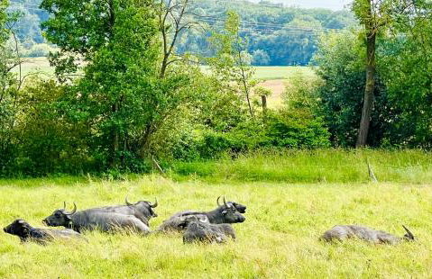 Casa del Sol - Foto 20