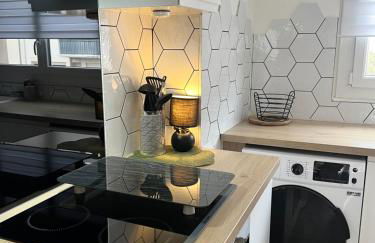 Le Bellevue - Gare & Les Jardins Darcy - T3 - Parking Free - Foto 9