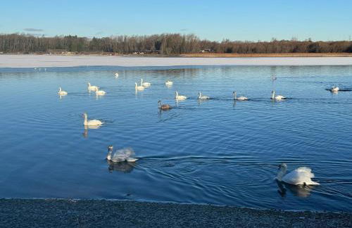 Swanmere lodge, Lakeside view Pinelake Carnforth - Foto 12