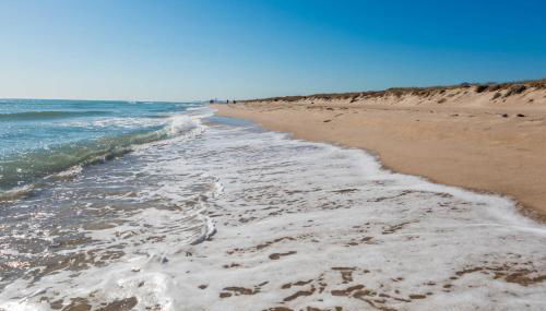 Cosy Flat Catarroja - Foto 2