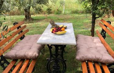 Green Olive Studios - Photo 31