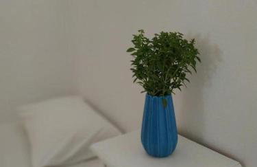 Anatoli Studios - Foto 43