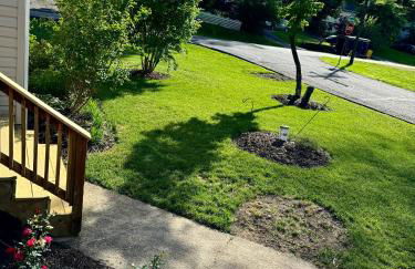 Holly Hill Haven - Photo 47