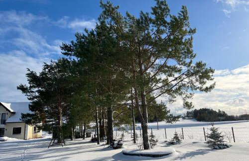 Domek wypoczynkowy Letnisko Sosenkowo - Foto 56