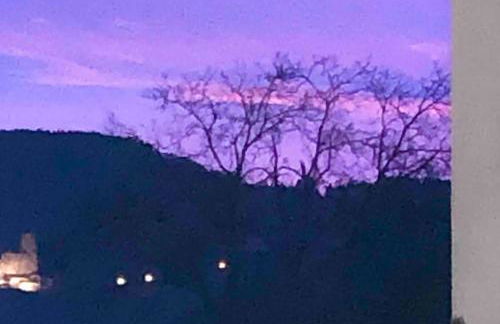 Wohnen direkt an Mosel und Goldbach - Foto 16