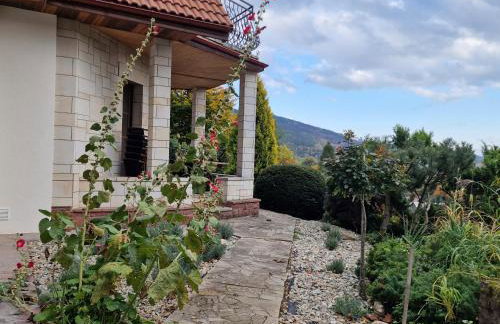 Jaworowy Stok z widokiem na góry i ogrodem - Foto 30