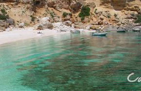 Mussilimbrosu - Photo 22