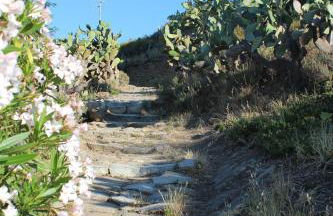 Un salto nel blu - Foto 17