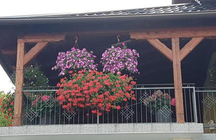 APARTMANI KSENIJA - Foto 6