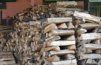 Quinta de Santo António da Serra - Foto 95