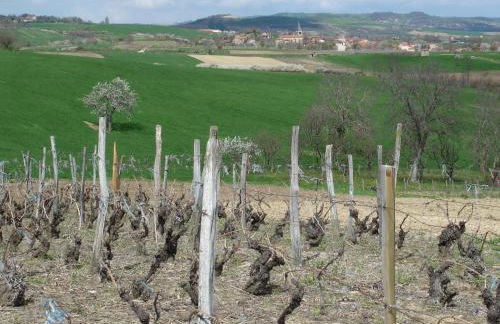 La Roche Pérégrine - Photo 27