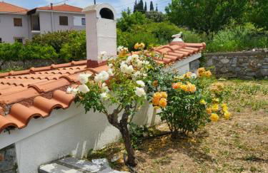 Alexia's resorts - Photo 28