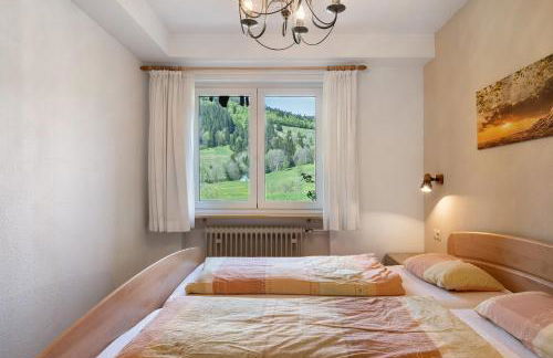 Aufblühen in Menzenschwand - Foto 23