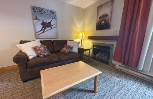 Grand Lodge Crested Butte - Foto 43