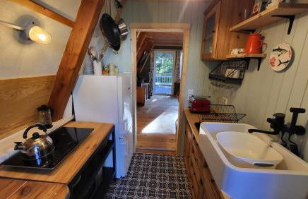 Finnhütte zwischen Wald und See - Foto 10