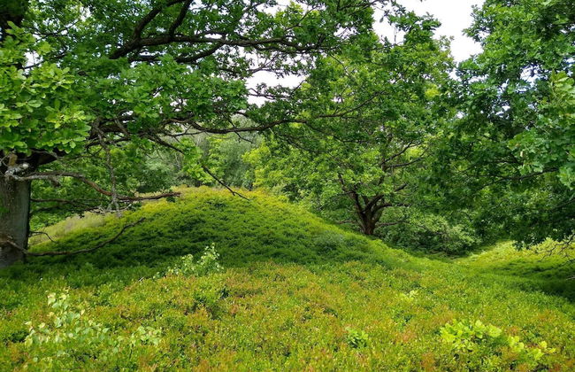 4 Person Holiday Home in Silkeborg-by Traum - Foto 8