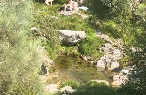 As Leirinhas - Foto 31