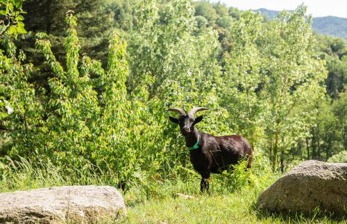 Ca la Montse - Foto 37