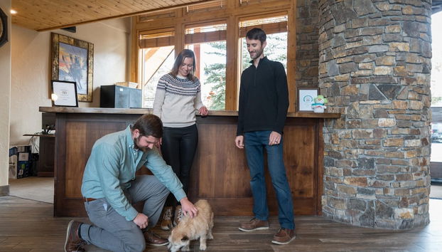 Bear Creek Lodge by Alpine Lodging Telluride - Foto 4