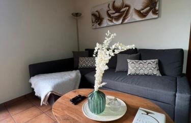 Acogedor y Céntrico Apartamento - Foto 6