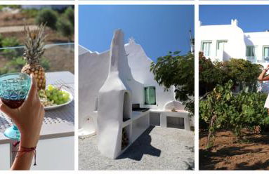 Vino suites - Foto 45