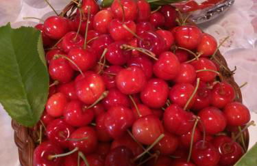 Raffaello Residence - Foto 75