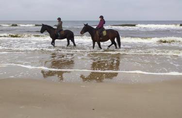 Gracja Dom przy Plaży - Foto 32
