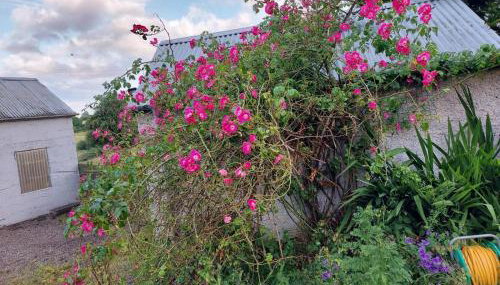 Lock-house, Blackwatertown, UK - Foto 3