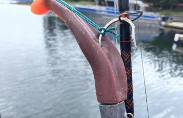 Accessible, Comfort, Convenient Location 106 - Foto 18