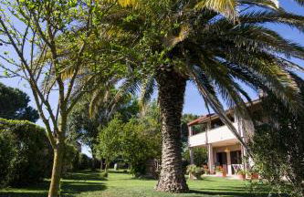 Agriturismo Podere Pizzicagallo - Foto 41