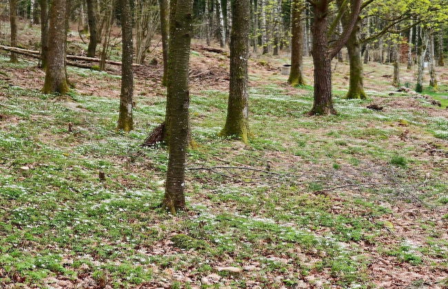 4 Person Holiday Home in Grimeton - Photo 7