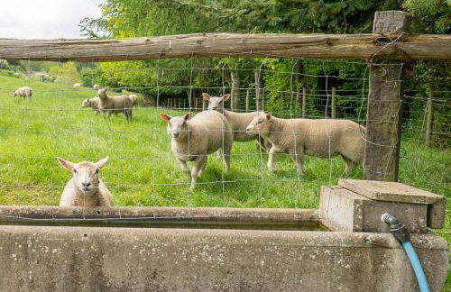 Llety-Hiraeth - Foto 30