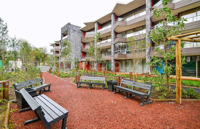 Nuevo y hermoso depto central en Pucón - Foto 11