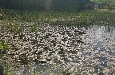 Stable lodge with Cosy Log Fire & Optional Hot tub - Foto 17