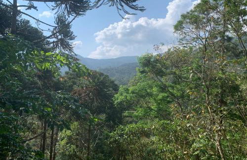 Casa Araucária - Photo 5