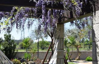 Alagoas4Family - Country House - Foto 10