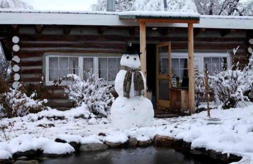 Log Casita Overlooking Pond and Waterfall near Taos, New Mexico - Foto 19