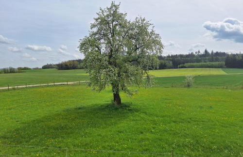 Gästehaus Plath - Foto 69