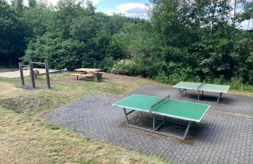 Ferienhaus Brandt im Ferienpark Falkenstein - Foto 39