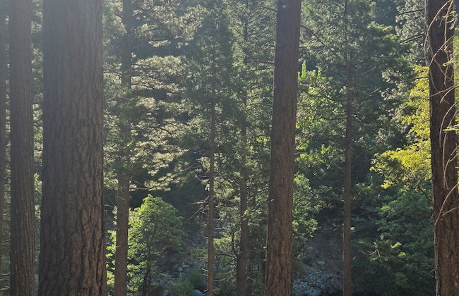 Yuba River Inn - Foto 25