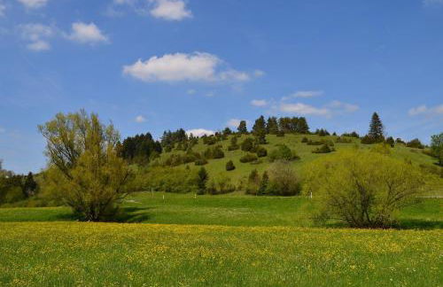 Casa Wiesenblick - Photo 24