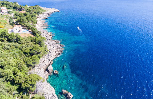 Plavac Mali - Foto 22