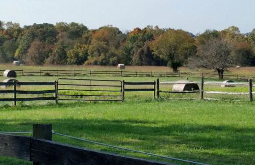 Pleasant Cozy Airstream with Amazing Stargaze and Farm Views in Maryland - Foto 20
