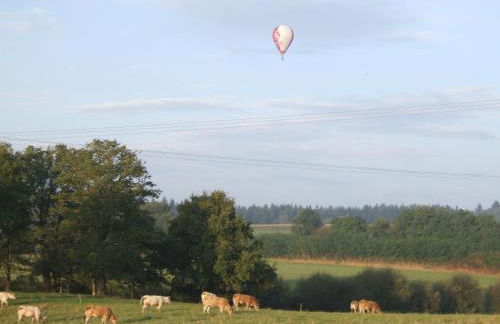 Le Hangar - Photo 22