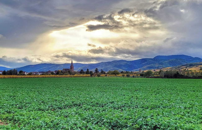 S'harzala Vert Bis - Foto 14